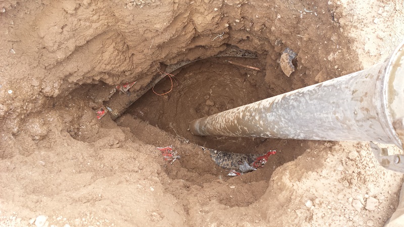 freshwater treatment